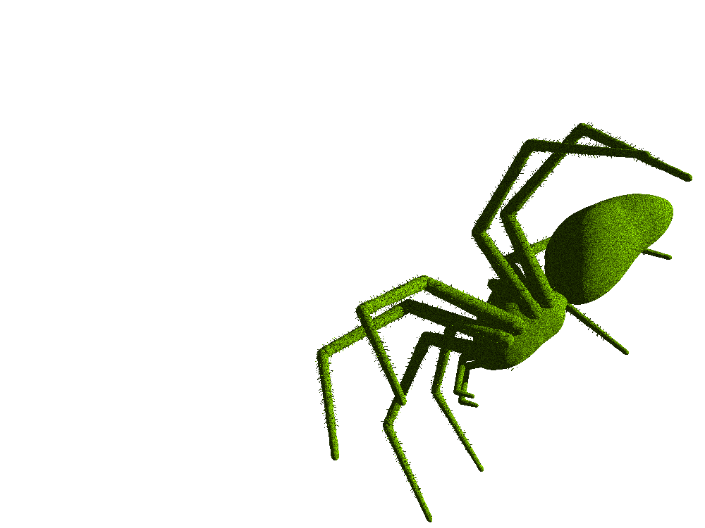 spider.png